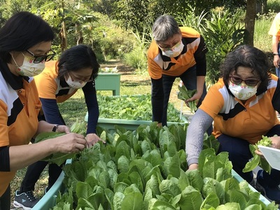 樂齡志工3