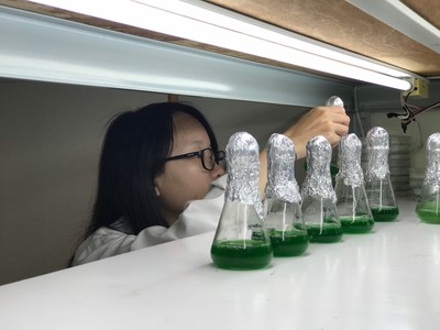 生物技術系暨碩士班